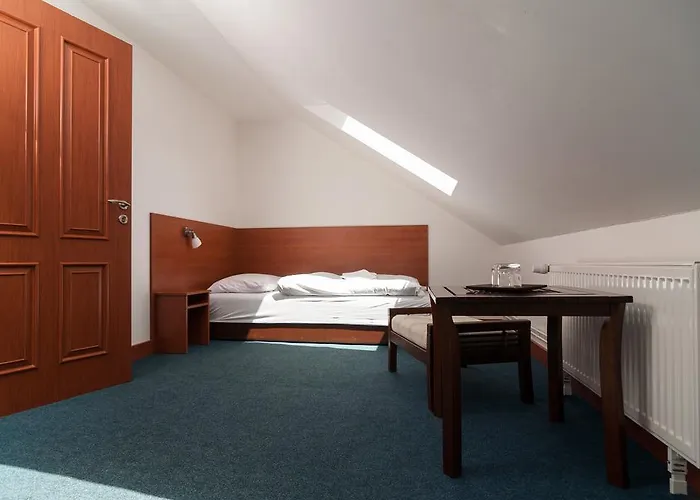 Отель Radejov 3*