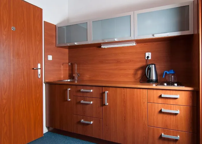 Отель Radejov 3*