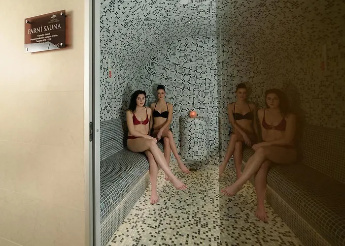 호텔 Radejov