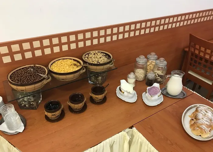 Radejov 호텔